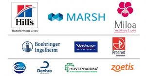 sponsors JPV 2021